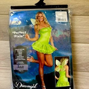 Women’s Tinker Bell costume everything included other than wand never worn L